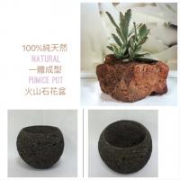 Natural Pumice Pot