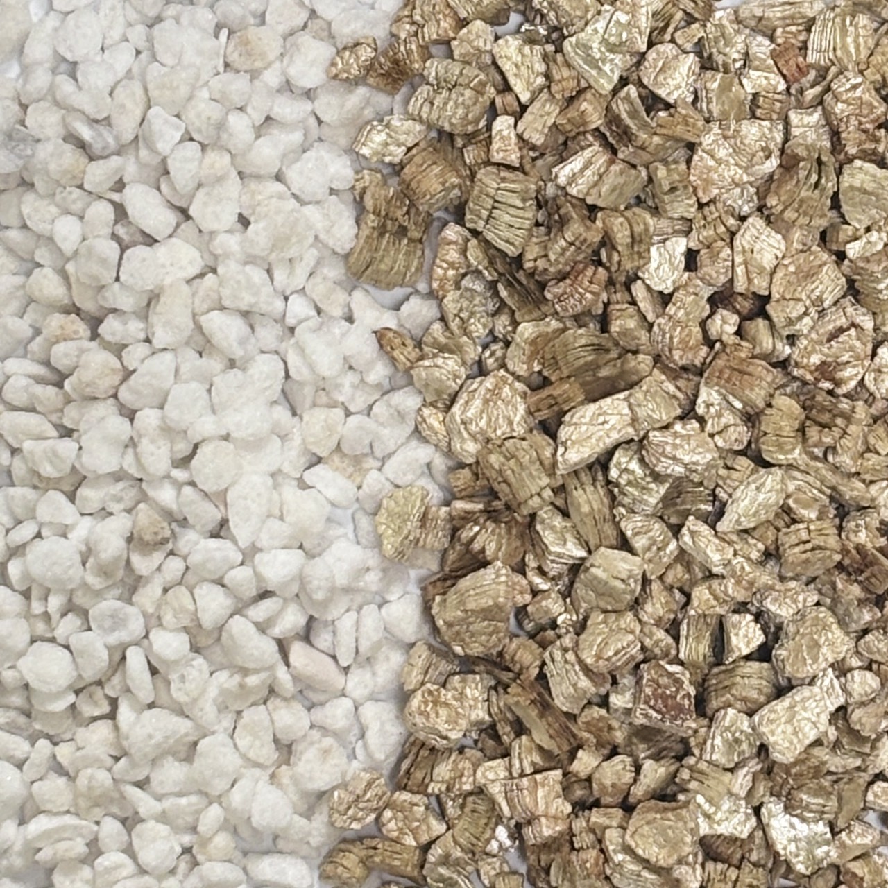 perlite-vermiculite-comparison