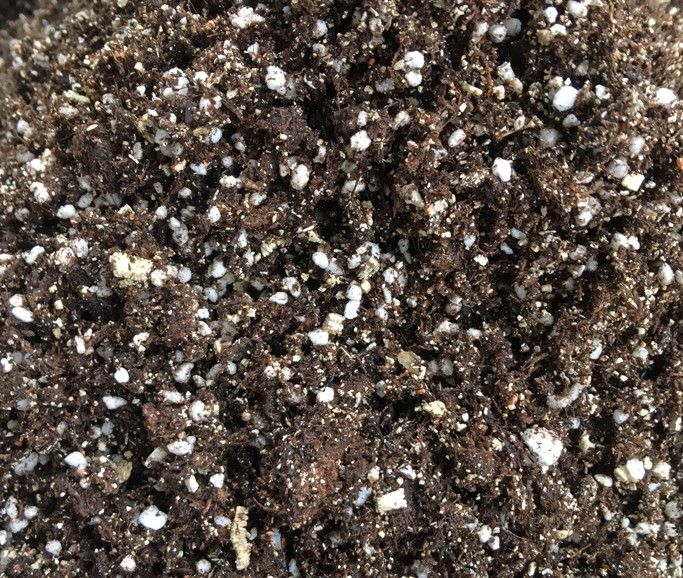 perlite-vermiculite-potting-mix